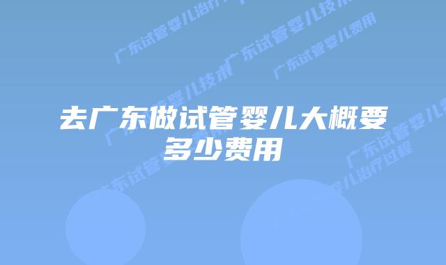 去广东做试管婴儿大概要多少费用