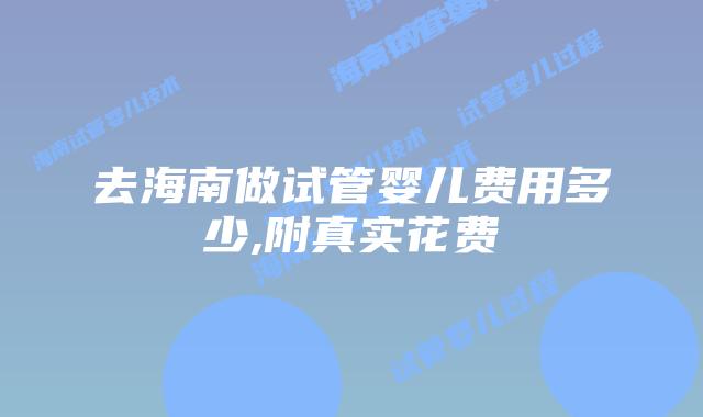 去海南做试管婴儿费用多少,附真实花费
