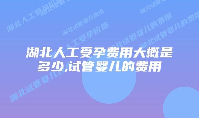 湖北人工受孕费用大概是多少,试管婴儿的费用