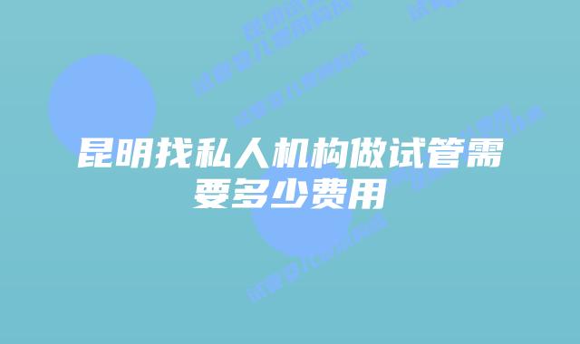 昆明找私人机构做试管需要多少费用