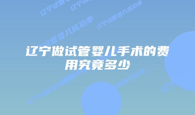辽宁做试管婴儿手术的费用究竟多少