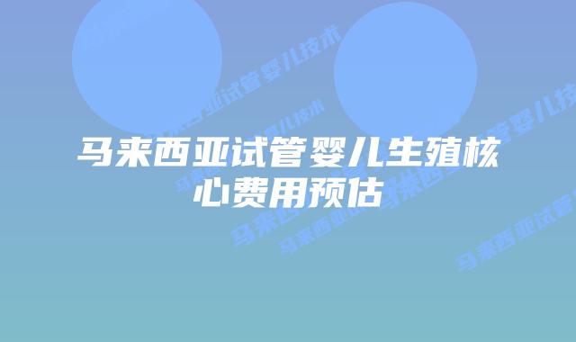 马来西亚试管婴儿生殖核心费用预估