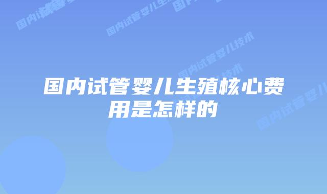 国内试管婴儿生殖核心费用是怎样的