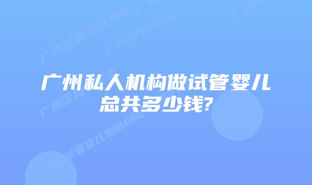 广州私人机构做试管婴儿总共多少钱?