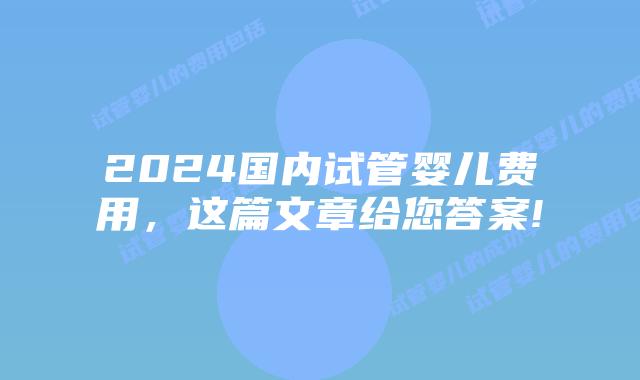 2024国内试管婴儿费用,这篇文章给您答案!