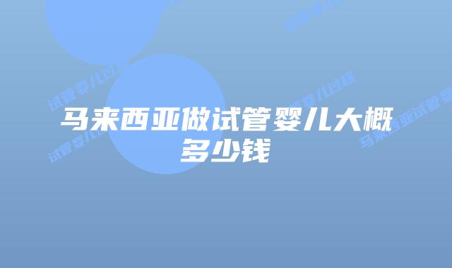 马来西亚做试管婴儿大概多少钱