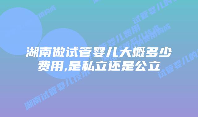 湖南做试管婴儿大概多少费用,是私立还是公立