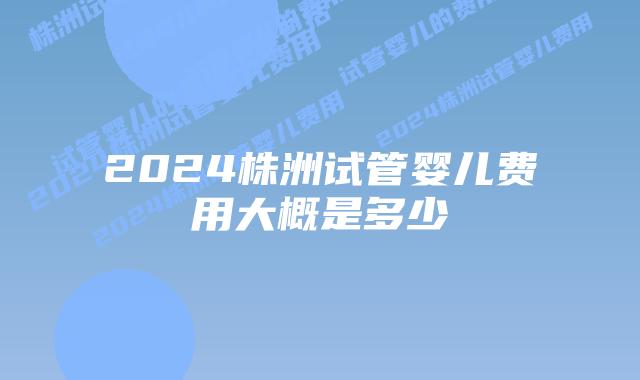 2024株洲试管婴儿费用大概是多少