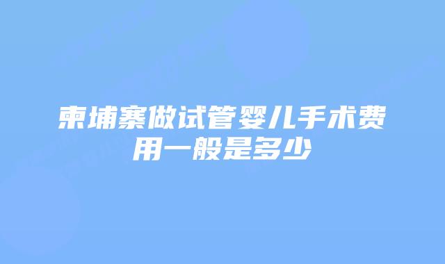 柬埔寨做试管婴儿手术费用一般是多少