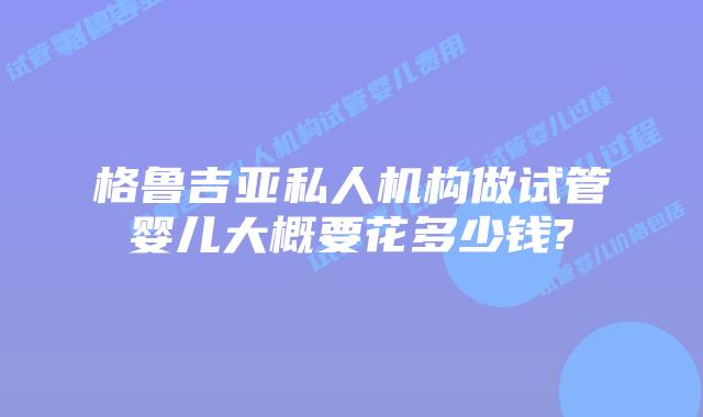 格鲁吉亚私人机构做试管婴儿大概要花多少钱?