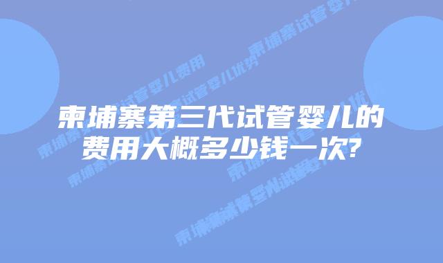 柬埔寨第三代试管婴儿的费用大概多少钱一次?