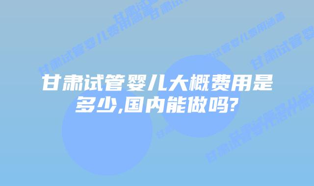 甘肃试管婴儿大概费用是多少,国内能做吗?