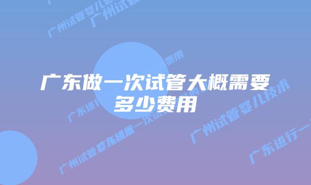 广东做一次试管大概需要多少费用