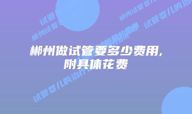 郴州做试管要多少费用,附具体花费