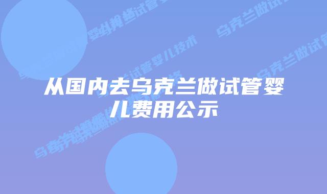 从国内去乌克兰做试管婴儿费用公示
