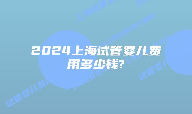 2024上海试管婴儿费用多少钱?