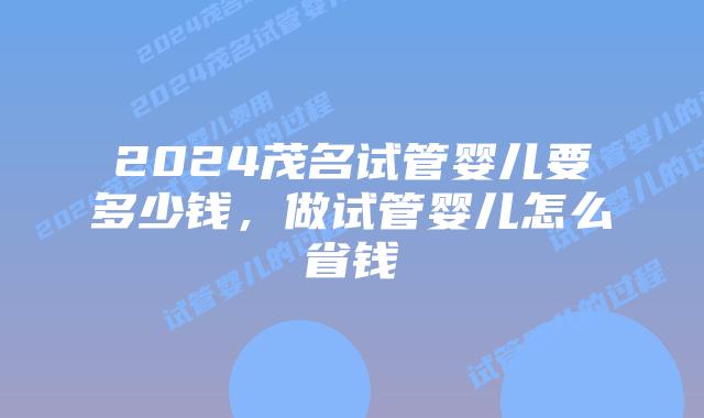 2024茂名试管婴儿要多少钱，做试管婴儿怎么省钱