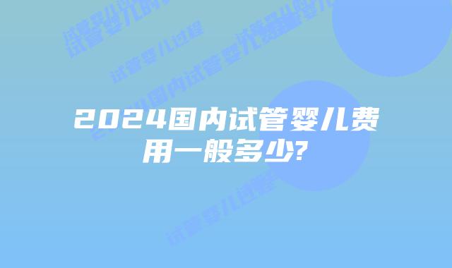 2024国内试管婴儿费用一般多少?