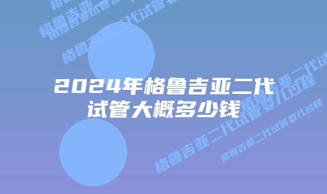 2024年格鲁吉亚二代试管大概多少钱