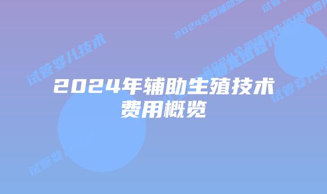 2024年辅助生殖技术费用概览