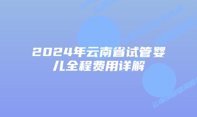 2024年云南省试管婴儿全程费用详解
