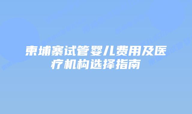 柬埔寨试管婴儿费用及医疗机构选择指南
