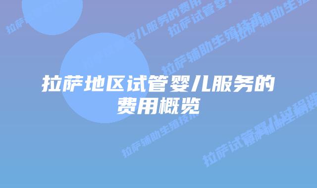 拉萨地区试管婴儿服务的费用概览
