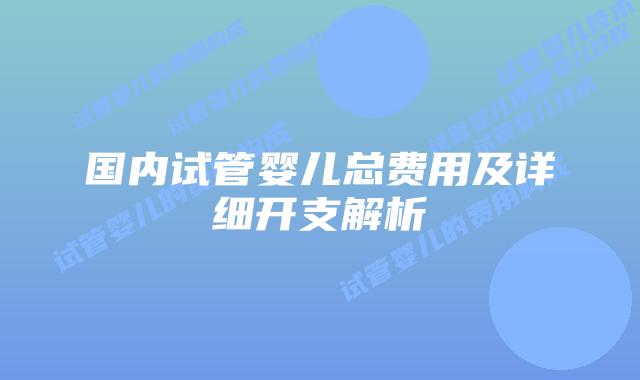 国内试管婴儿总费用及详细开支解析