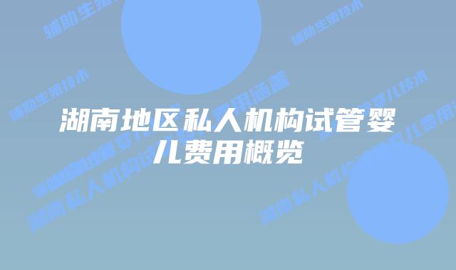 湖南地区私人机构试管婴儿费用概览