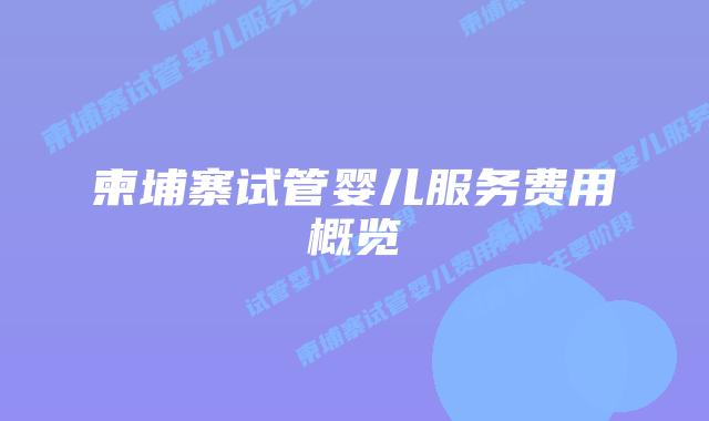 柬埔寨试管婴儿服务费用概览