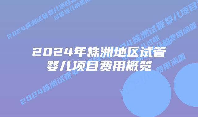2024年株洲地区试管婴儿项目费用概览