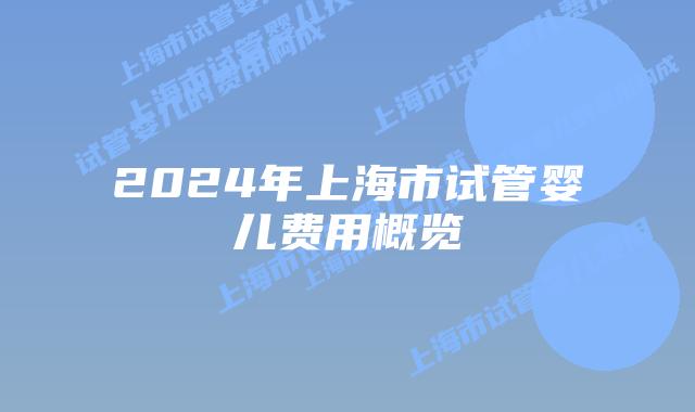 2024年上海市试管婴儿费用概览