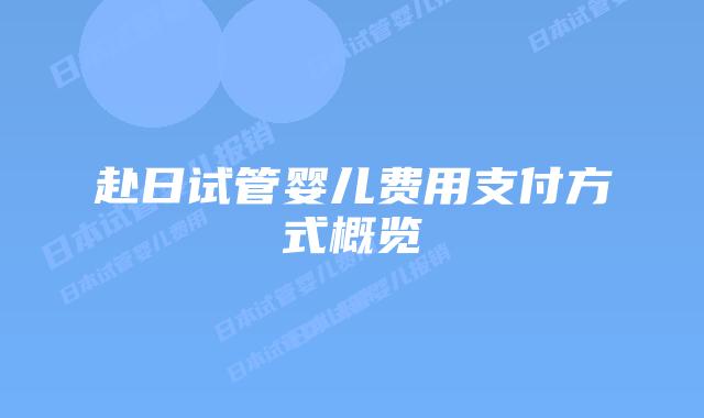 赴日试管婴儿费用支付方式概览