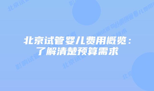 北京试管婴儿费用概览：了解清楚预算需求