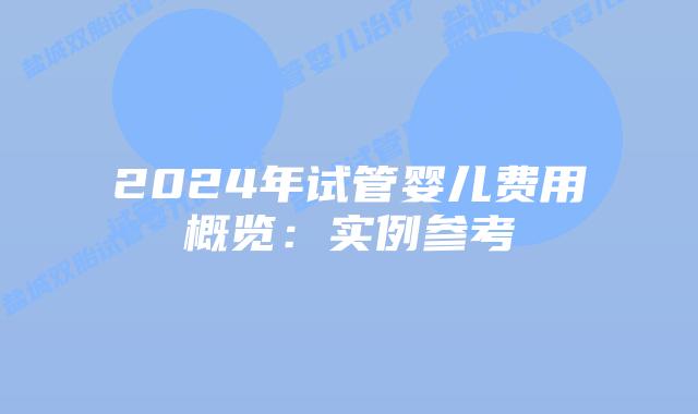 2024年试管婴儿费用概览:实例参考