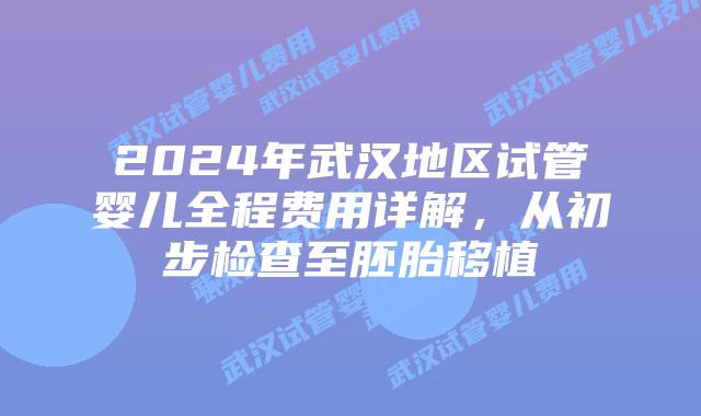 2024年武汉地区试管婴儿全程费用详解，从初步检查至胚胎移植