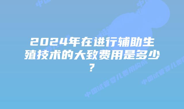 2024年在进行辅助生殖技术的大致费用是多少?
