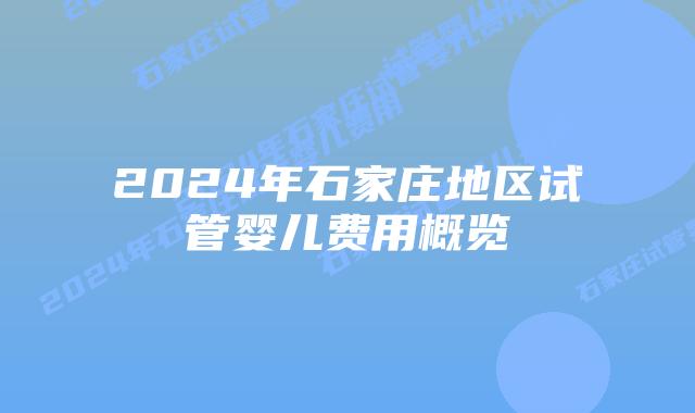 2024年石家庄地区试管婴儿费用概览