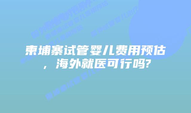 柬埔寨试管婴儿费用预估,海外就医可行吗?