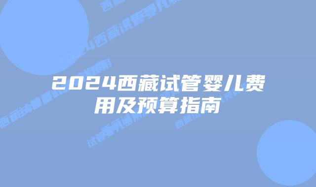 2024西藏试管婴儿费用及预算指南