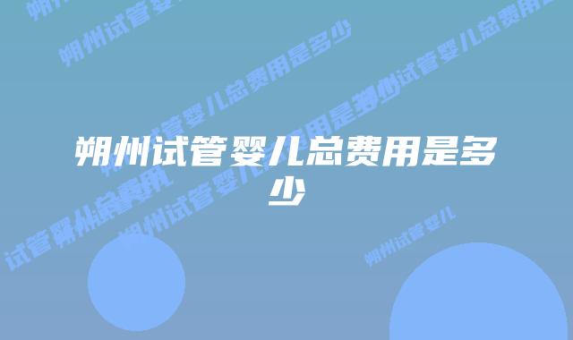朔州试管婴儿总费用是多少