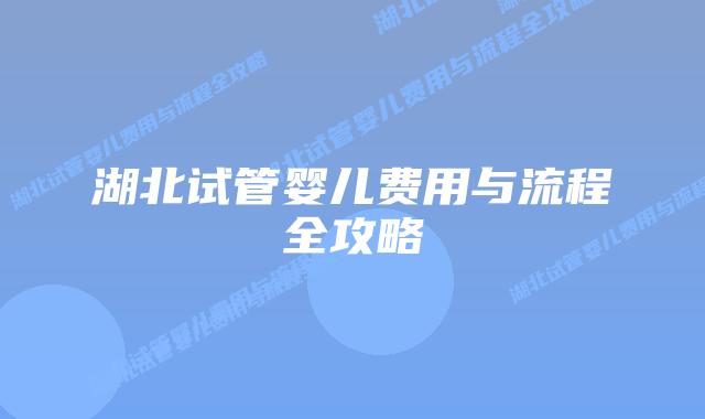 湖北试管婴儿费用与流程全攻略