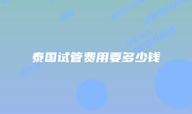 泰国试管费用要多少钱