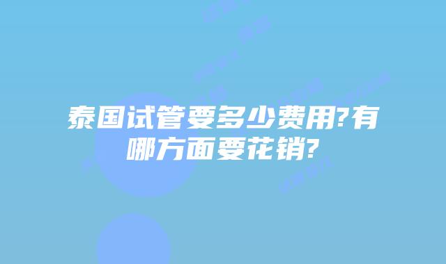 泰国试管要多少费用?有哪方面要花销?