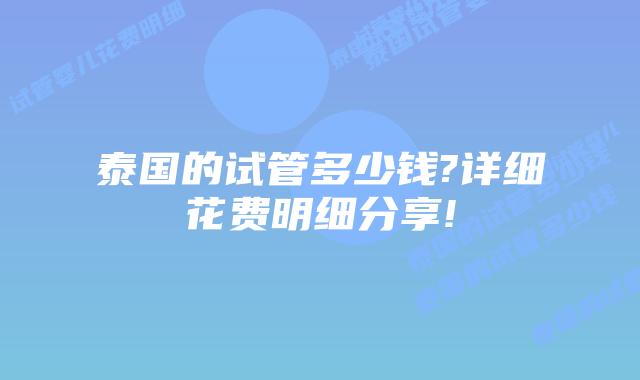 泰国的试管多少钱?详细花费明细分享!