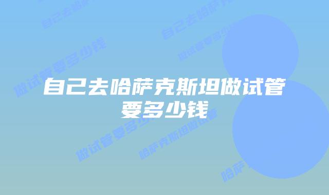 自己去哈萨克斯坦做试管要多少钱