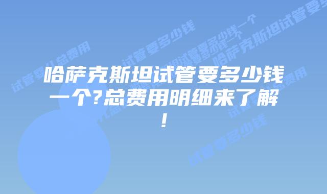 哈萨克斯坦试管要多少钱一个?总费用明细来了解!