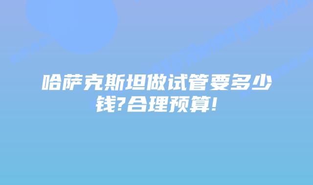 哈萨克斯坦做试管要多少钱?合理预算!