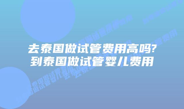 去泰国做试管费用高吗?到泰国做试管婴儿费用