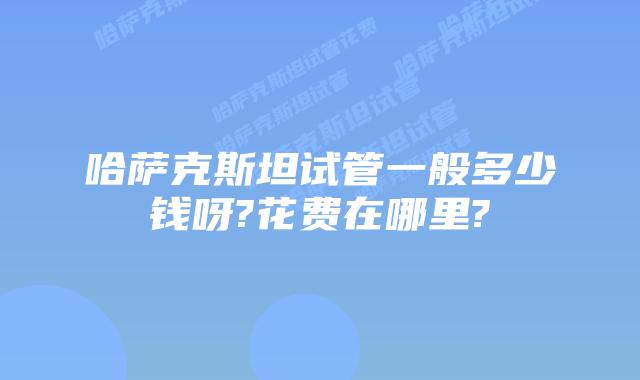 哈萨克斯坦试管一般多少钱呀?花费在哪里?